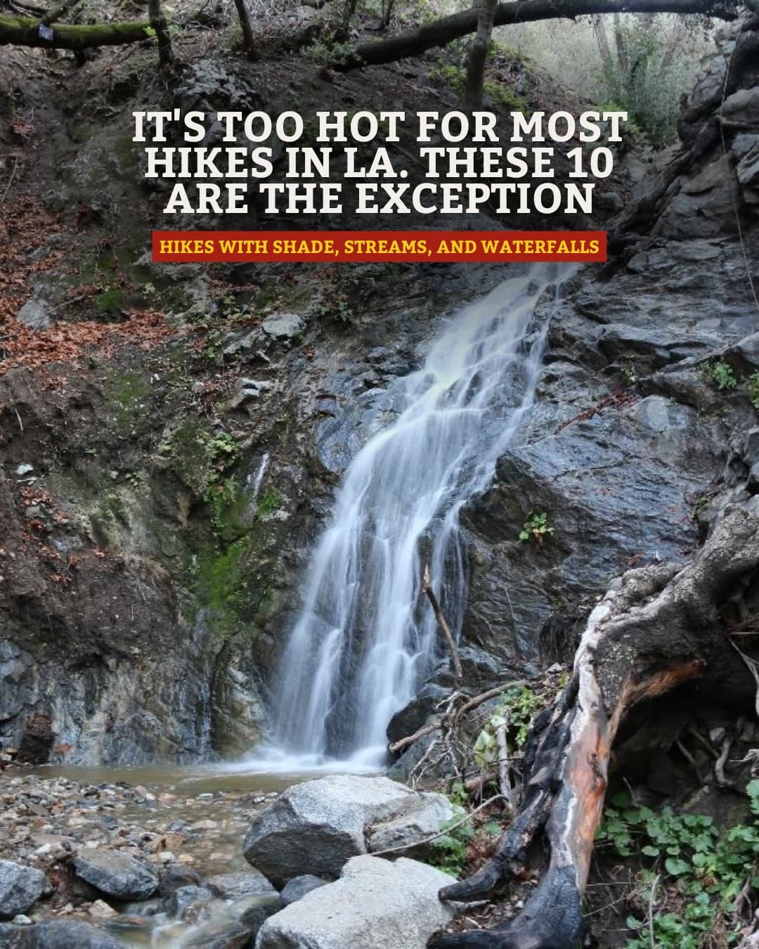 Coolest Hikes For Beating The Los Angeles Heat