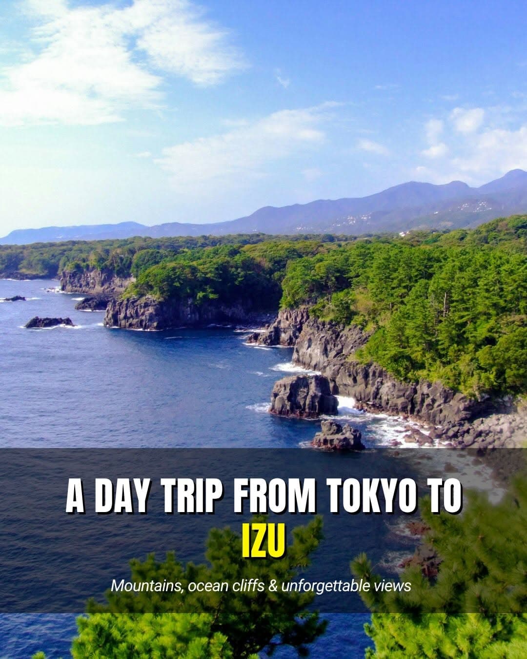 Five Izu Attractions For A Day Trip