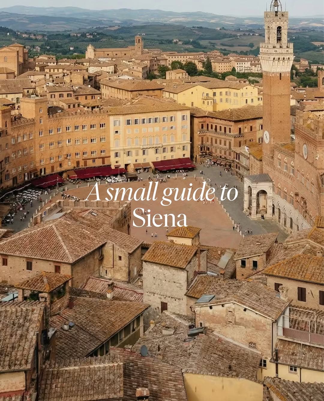 Siena, Montalcino, and Famous Basilicas