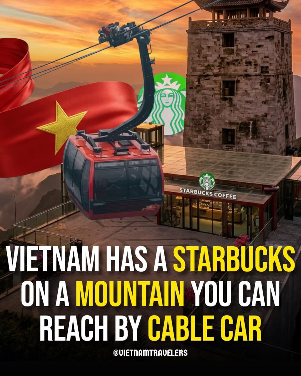Starbucks on Fansipan Mountain Offers Cloud-Top Views