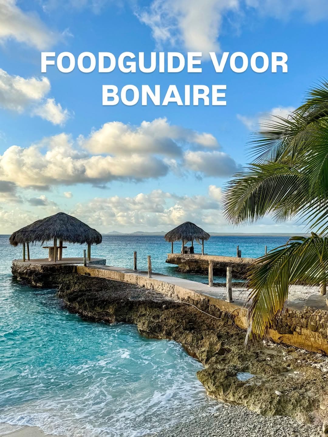 Bonaire's Culinary Scene: Restaurants, Hotels, and Food