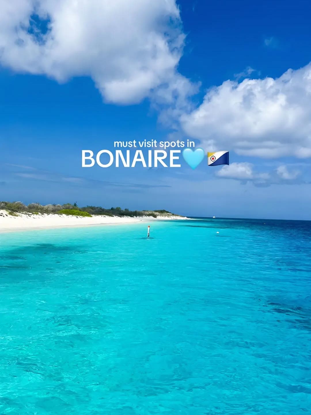 Bonaire's Top Beaches and Natural Wonders