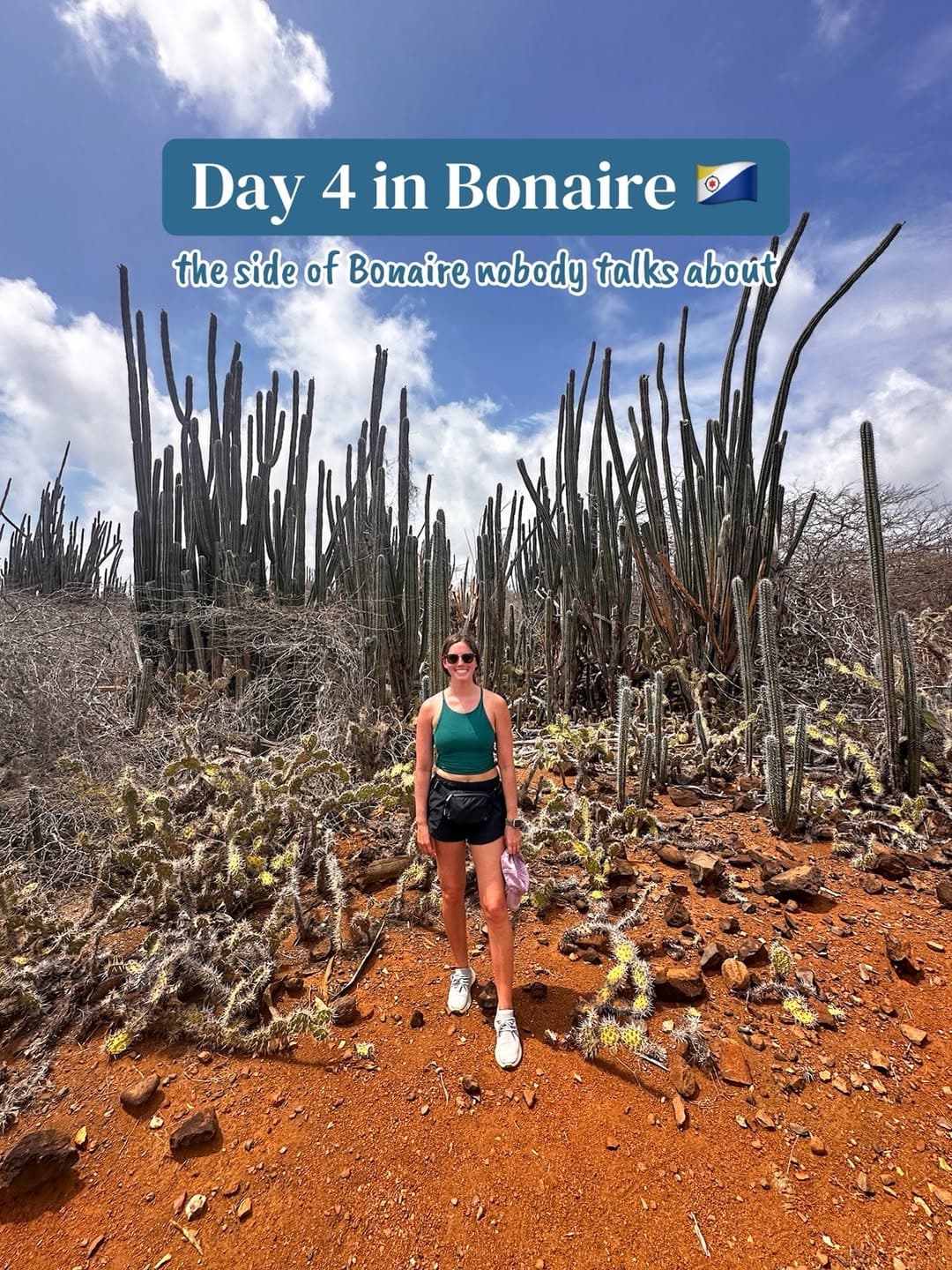 Bonaire's Desert Landscapes and Unique Attractions