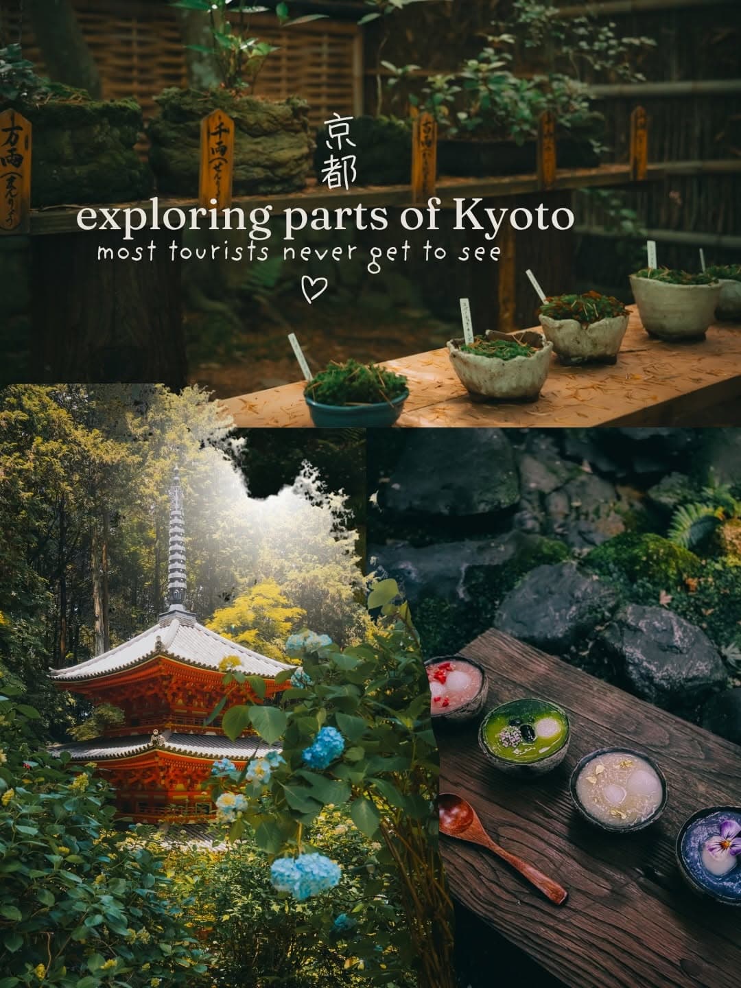Kyoto's Temples, Streets, and Restaurants