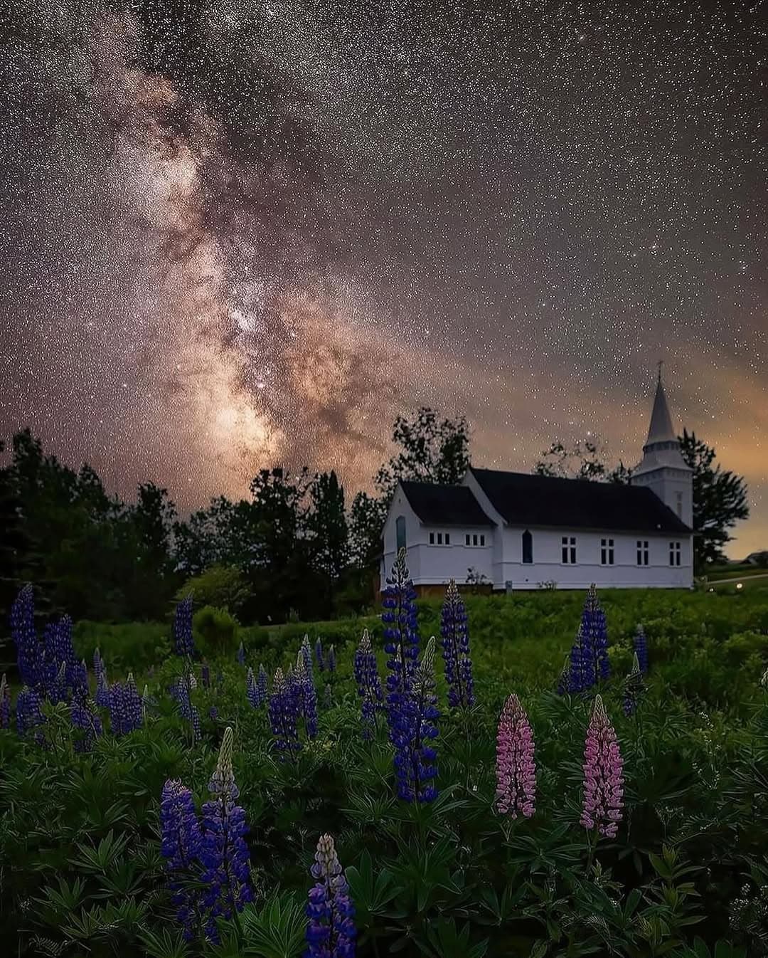 Milky Way Over Lupines at St. Matthew's Chapel