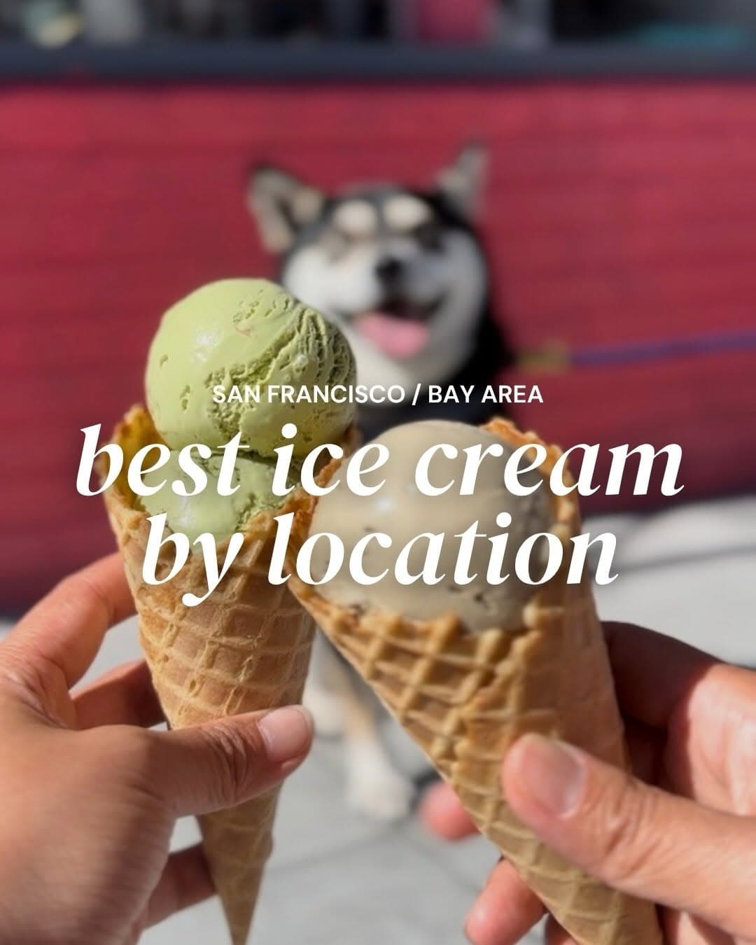 Bay Area's Top Ice Cream Shops