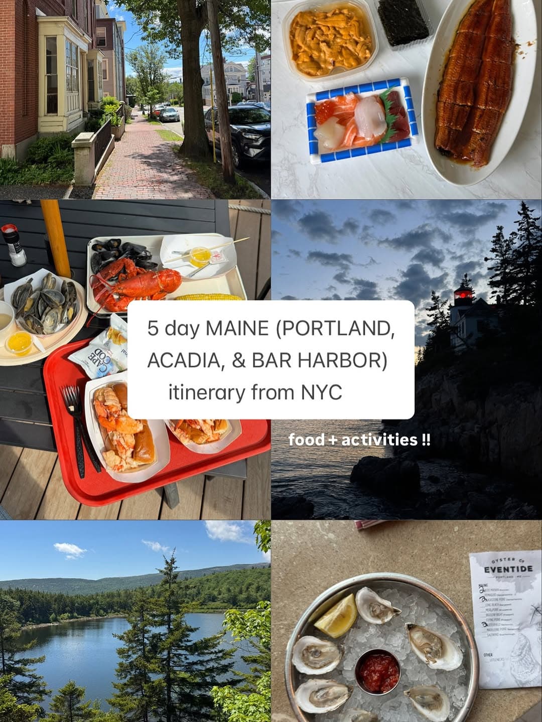 Maine's Coast: Oysters, Lighthouses, and Coastal Hikes