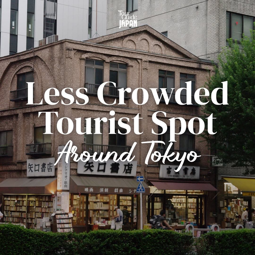 Tokyo's Relaxing Spots for a Leisurely Stroll