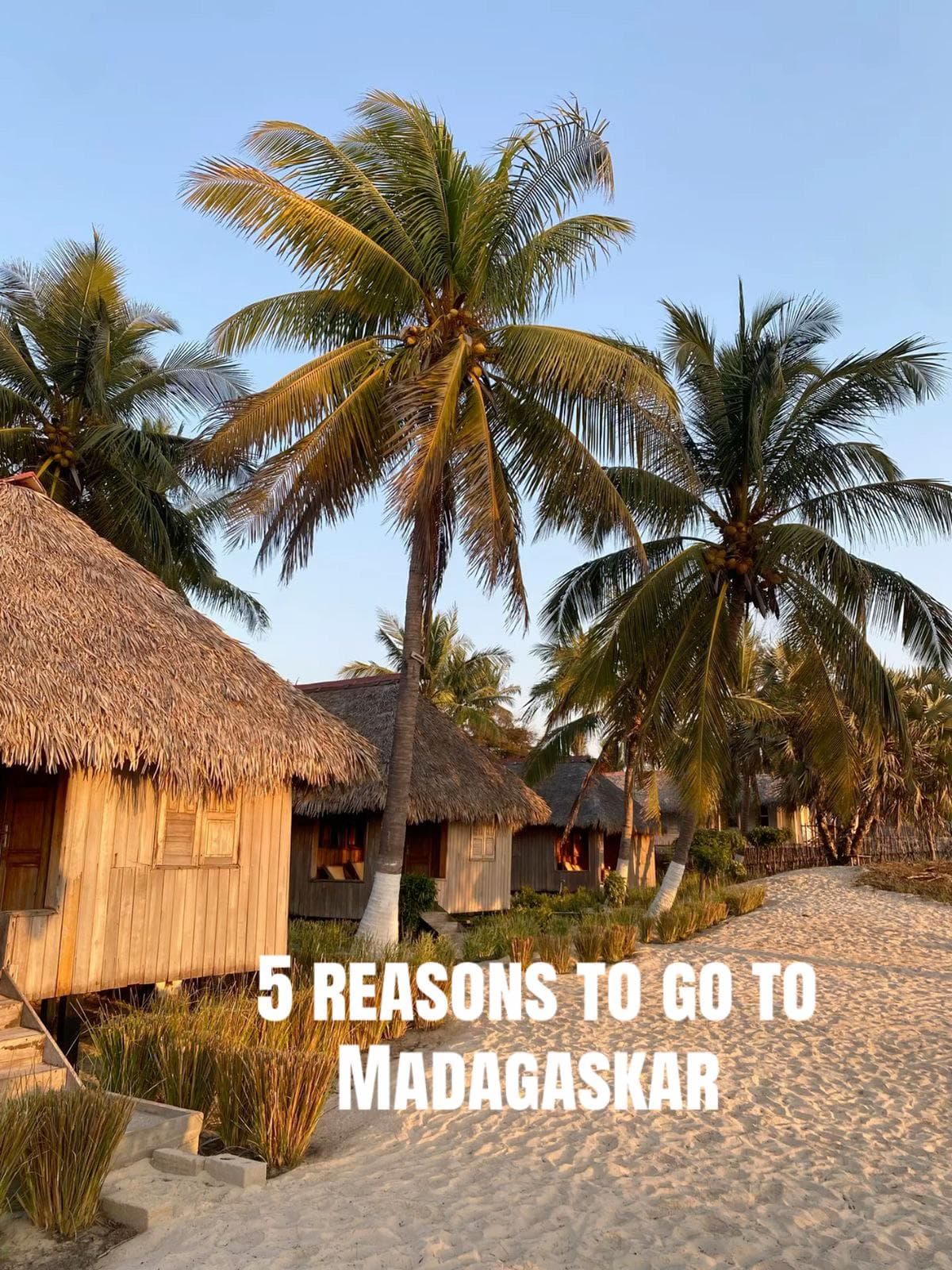 Madagascar's Unique Landscapes, Wildlife, and Islands