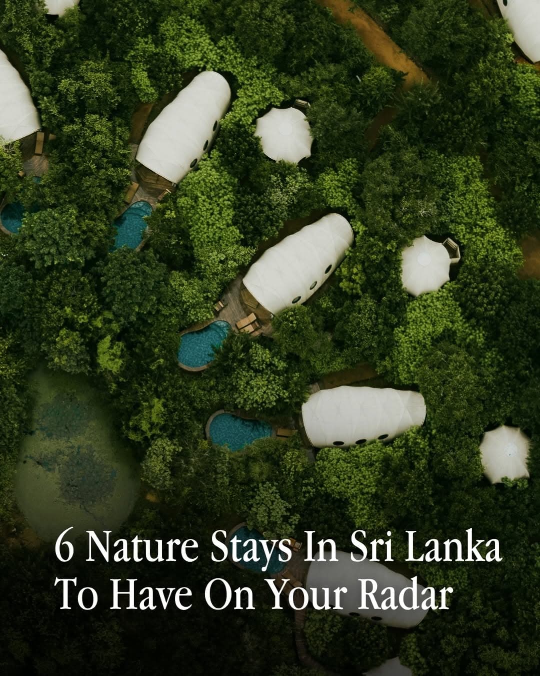 Sri Lanka's Six Luxury Lodges Immerse You In Nature