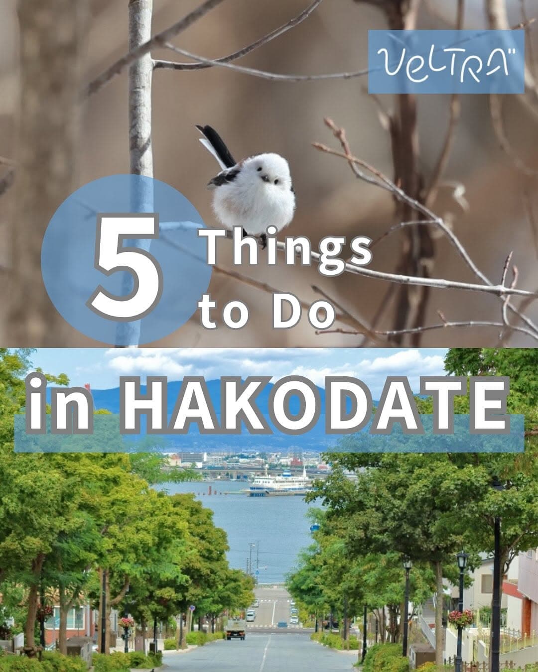 Hakodate Attractions: Views, Markets, Forts, and Hot Springs