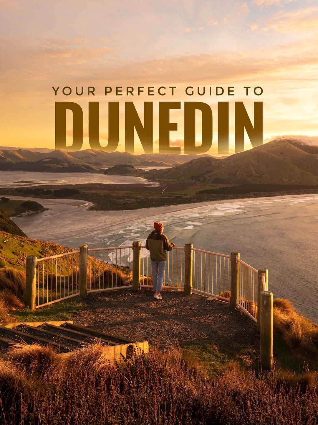 Nineteen Dunedin Highlights: Coast, Wildlife, and History