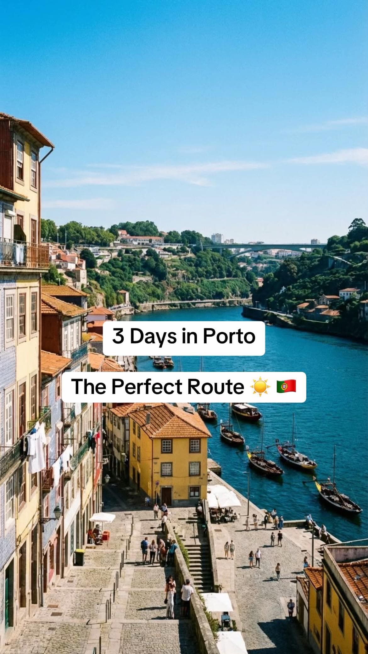 Porto's Essential Sights and Experiences