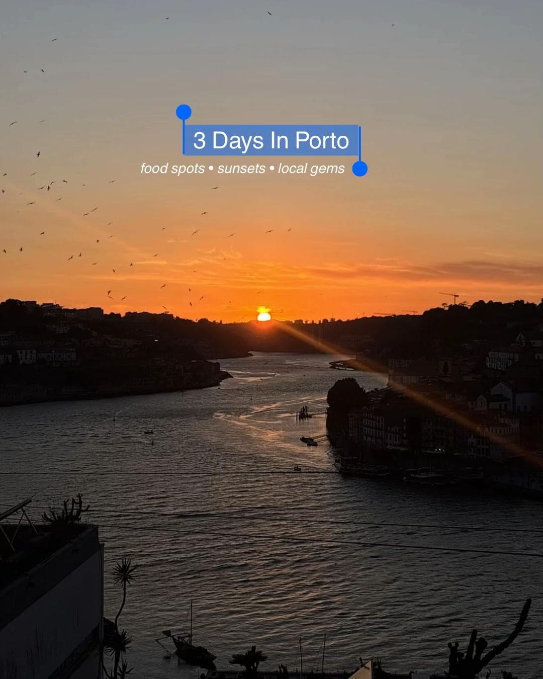 Porto's Parks, Cafes, and Nata Delights