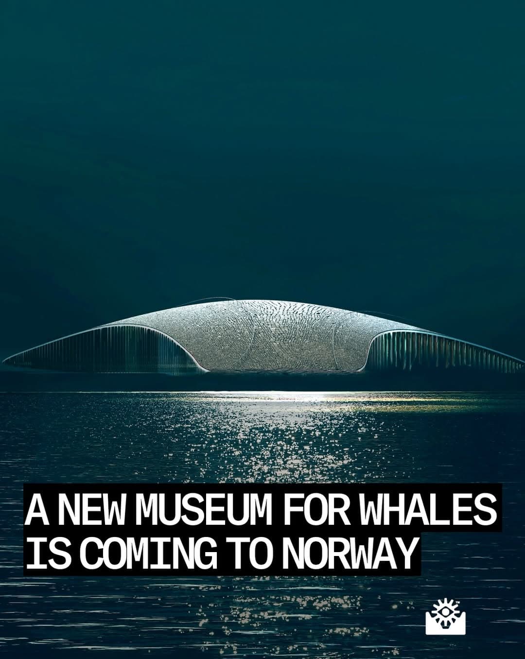 Whale Museum Opens Norway In 2027