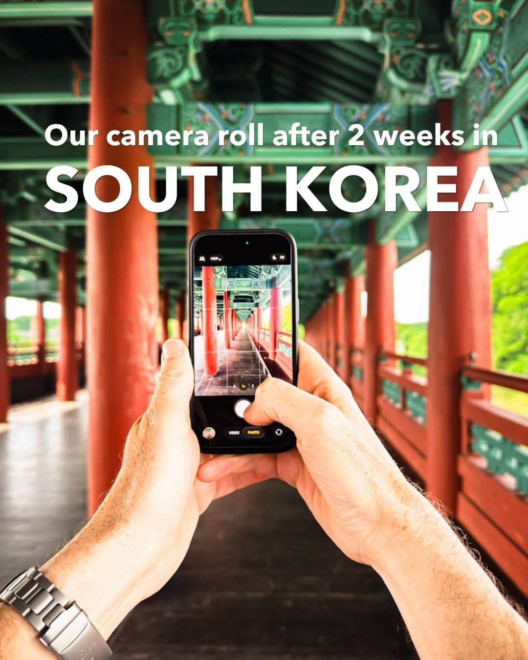 South Korean Palaces, Temples, and Tea Fields