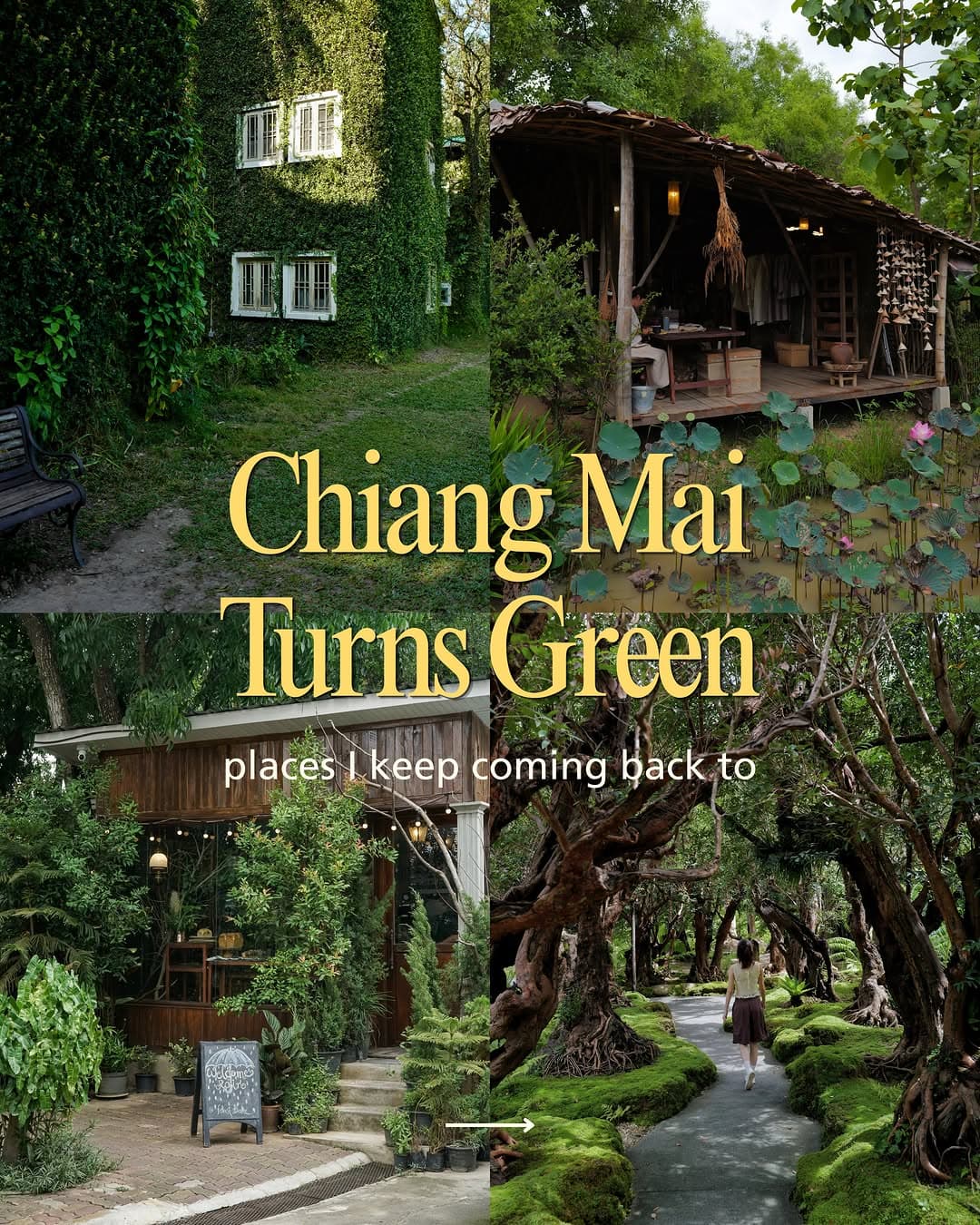 Chiang Mai Rainy Season Hidden Gems