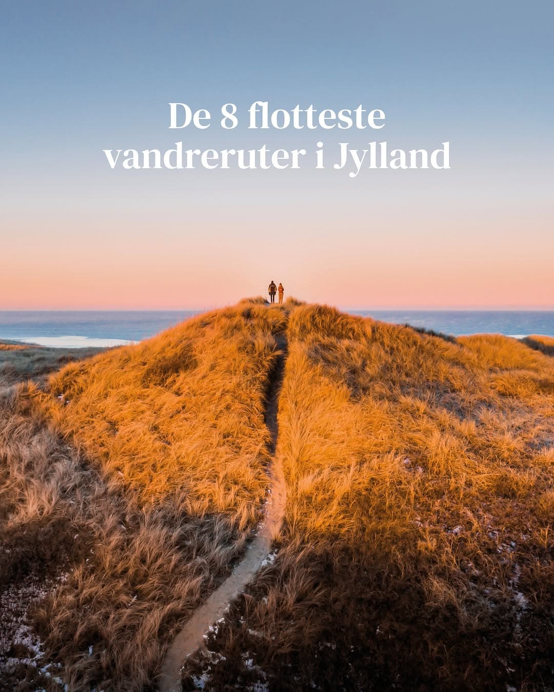 Jutland Hiking Trails Offer Coastal Views And Heather