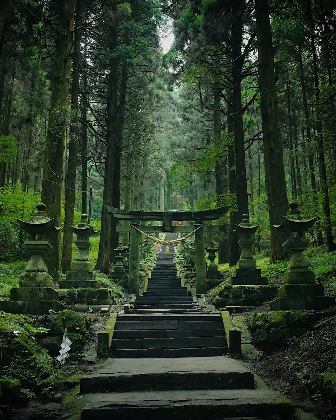 Mystical Shrines of Kumamoto, Japan
