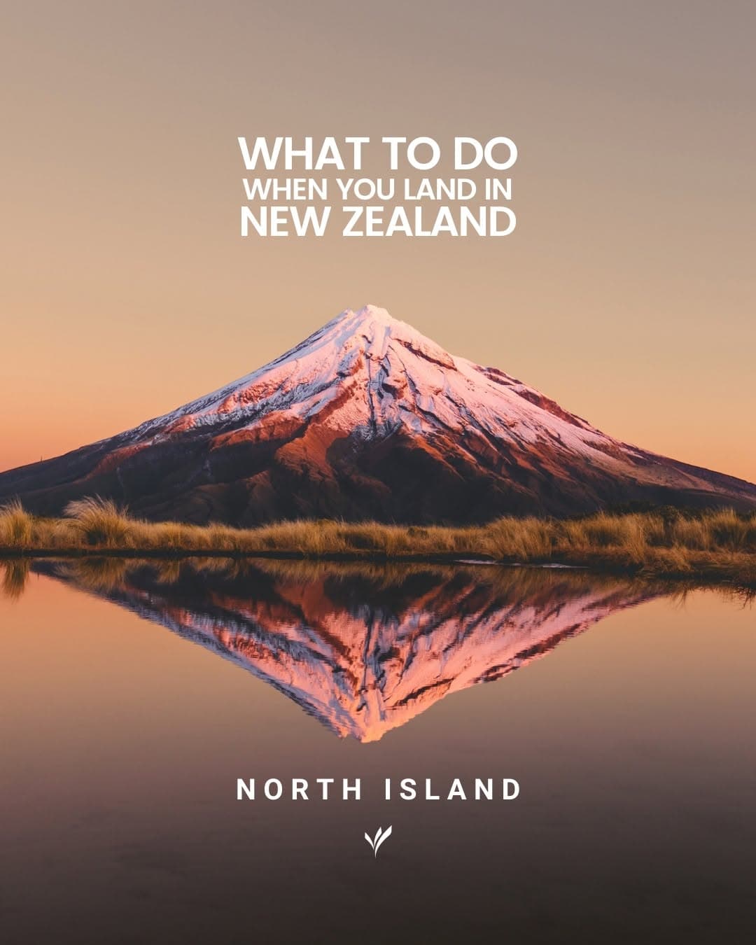 18 Attractions in New Zealand