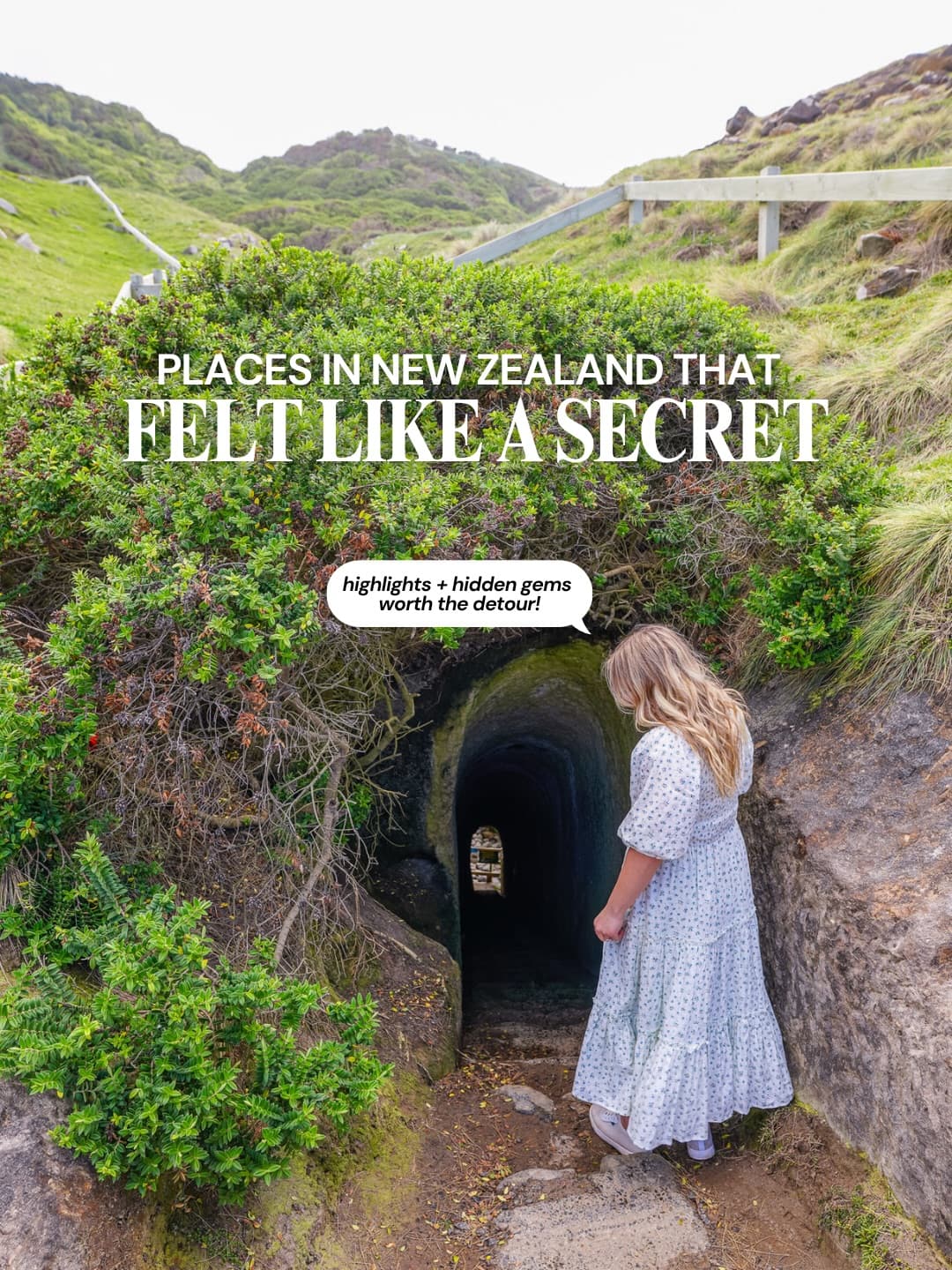 South Island New Zealand's Unique Attractions and Stays