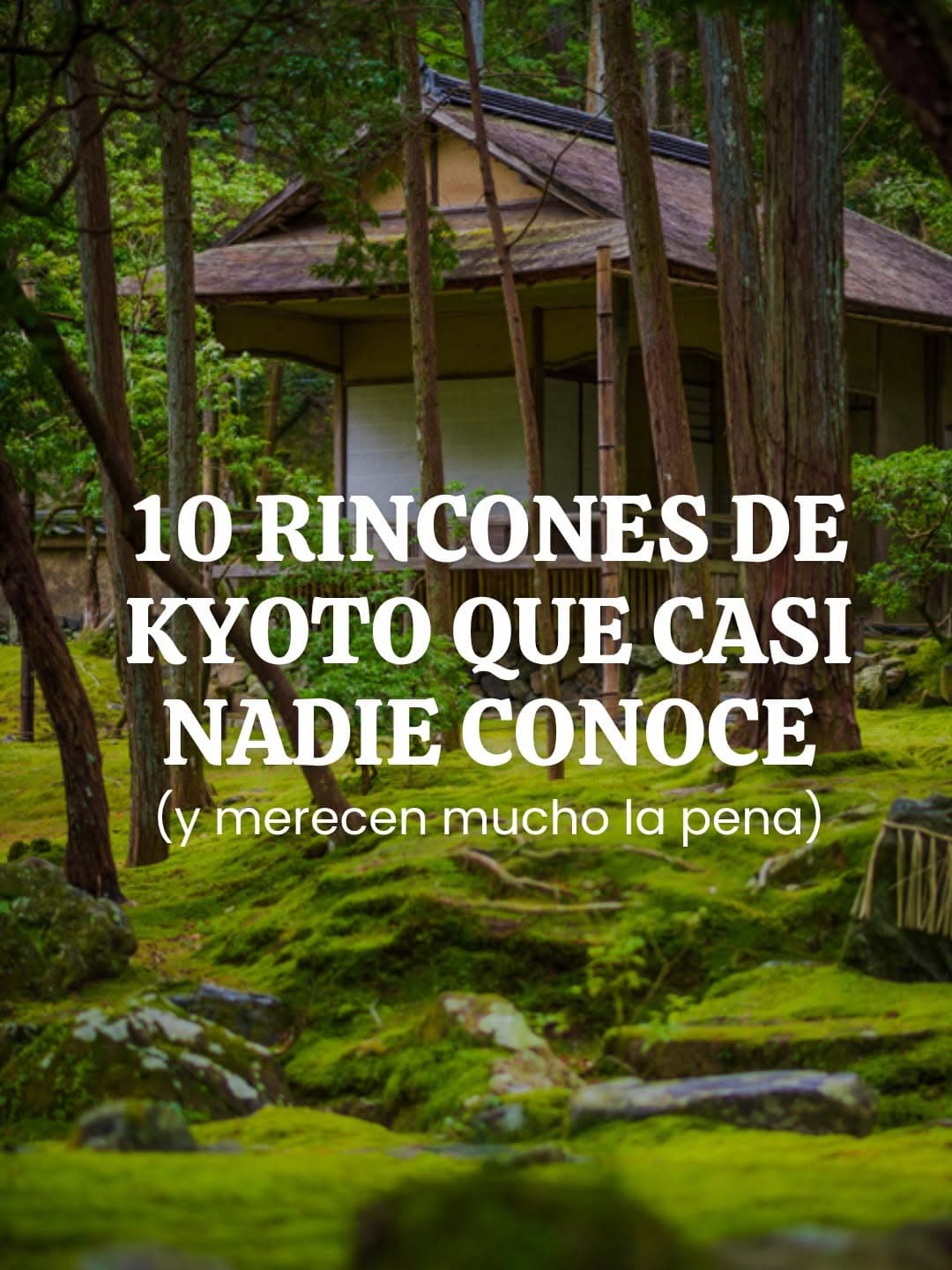 Ten Undiscovered Kyoto Gems for Travelers
