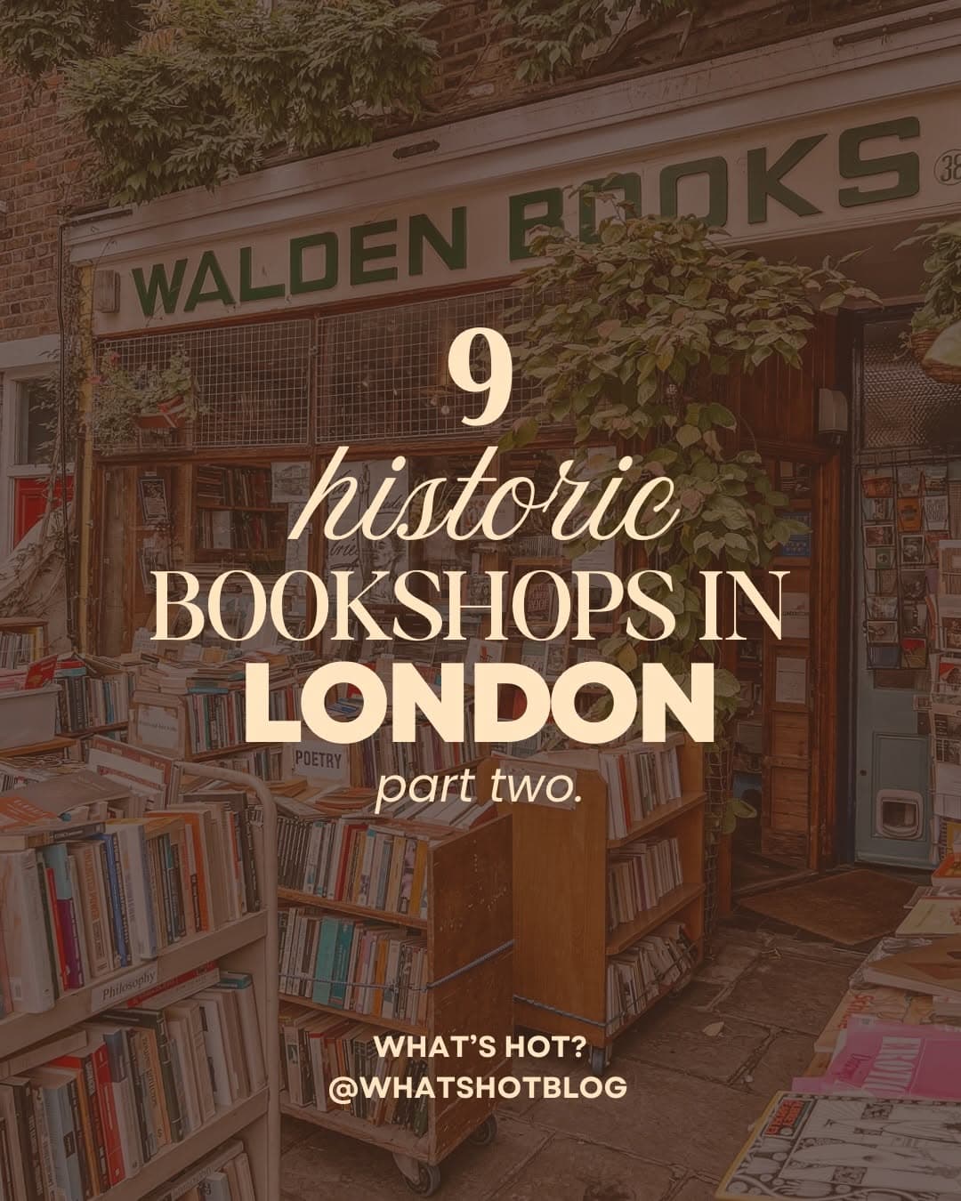 London's Historic Bookshops: A Literary Journey