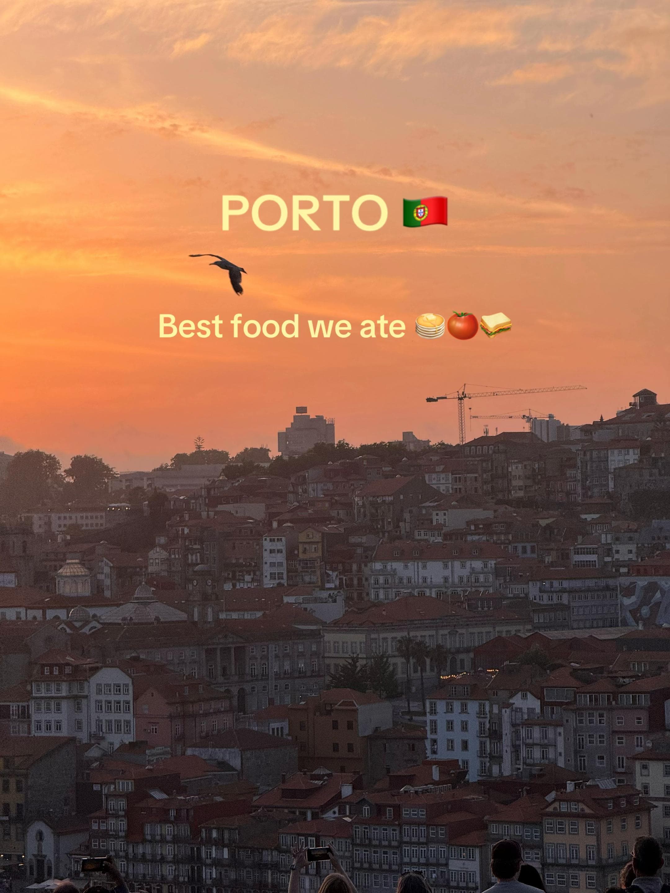 Best Food Stops in Porto