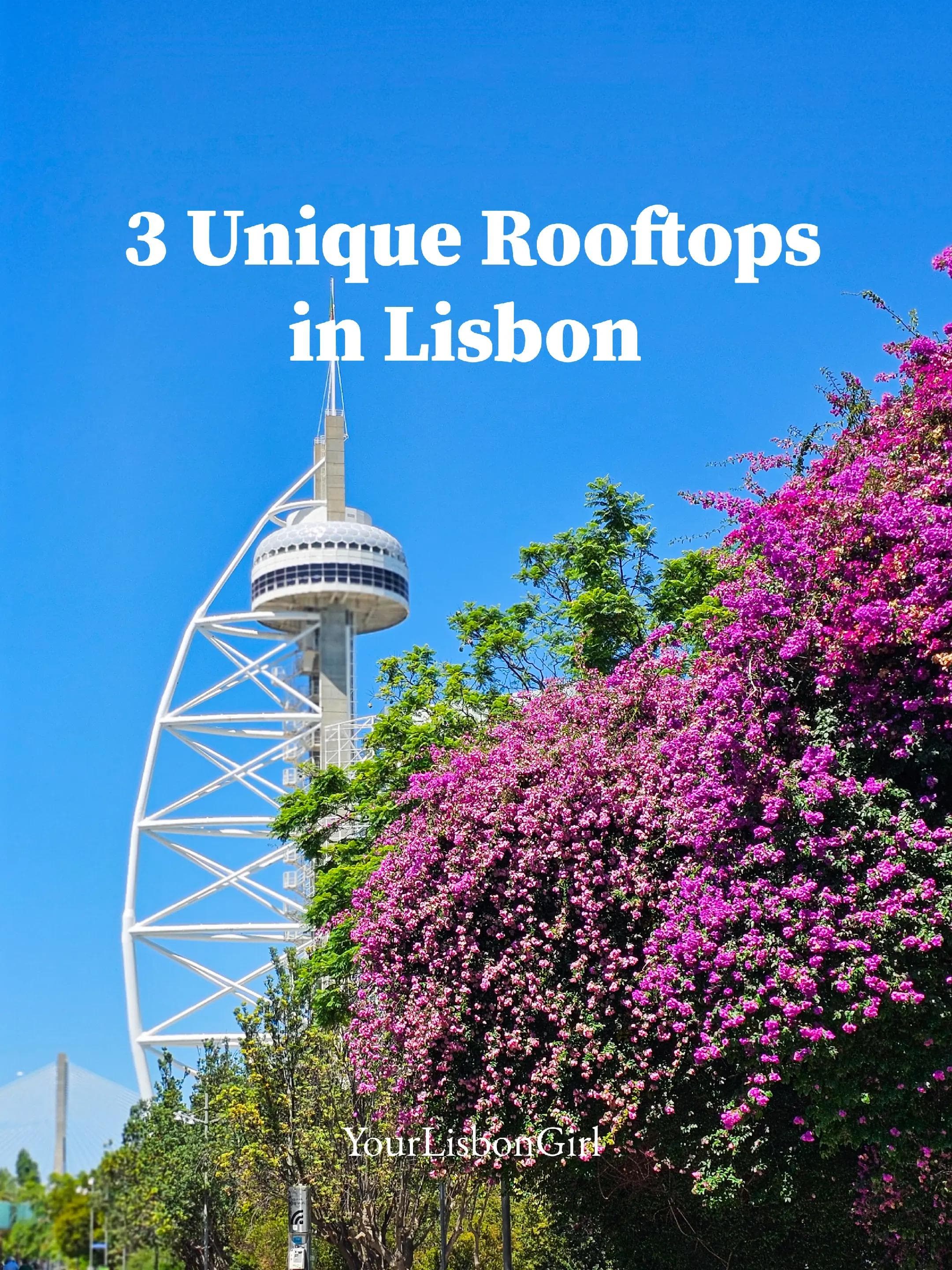 Lisbon Rooftop Views and Experiences