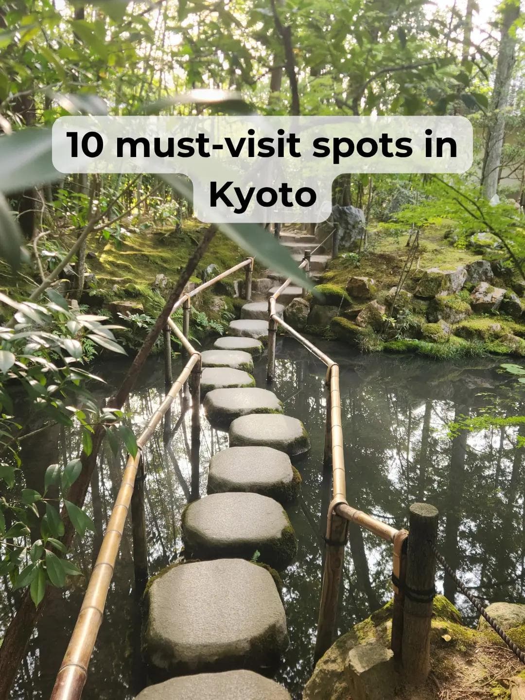Kyoto's Must-Visit Temples, Shrines, and Districts