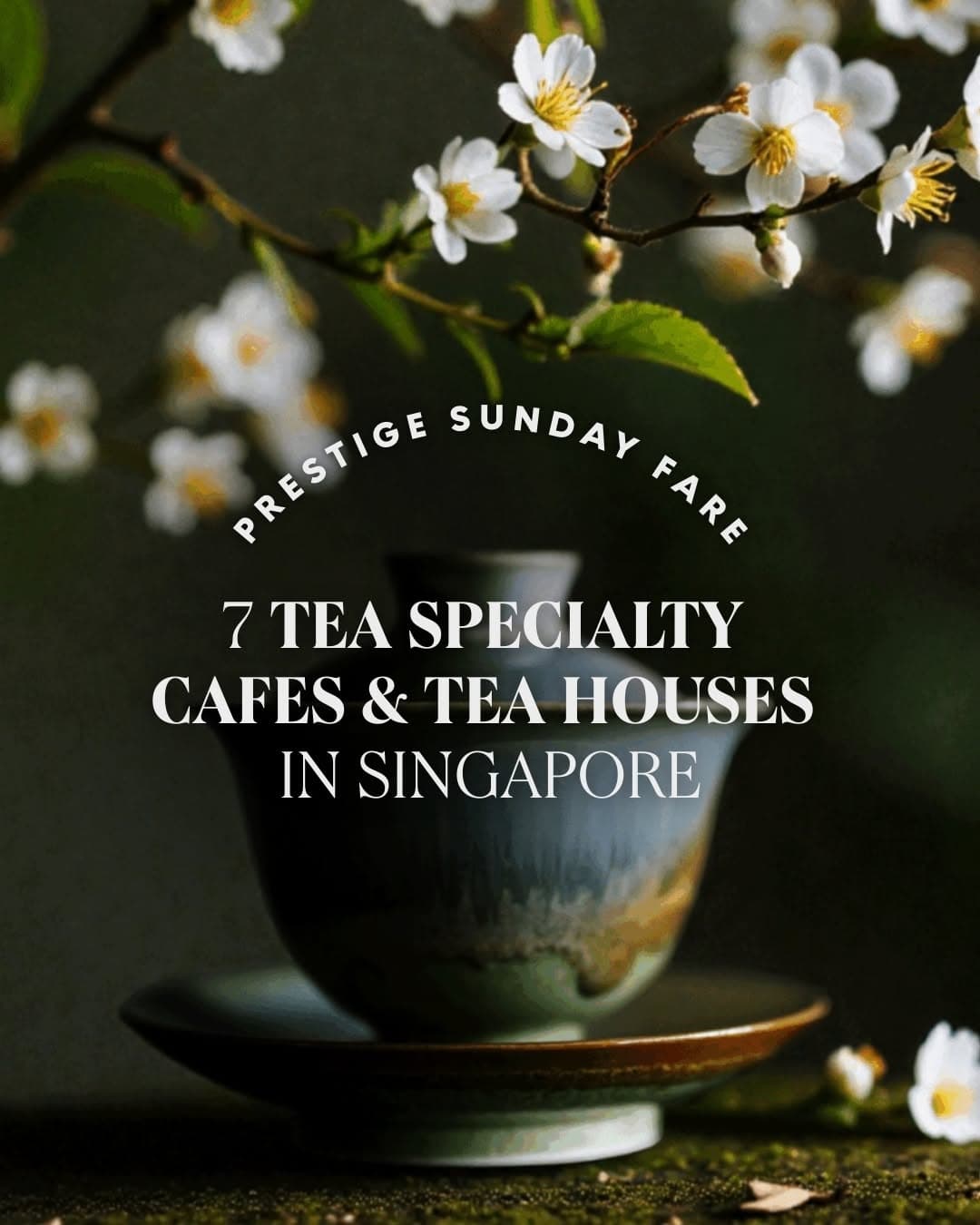 Singapore's Best Tea Houses for Quiet Indulgence