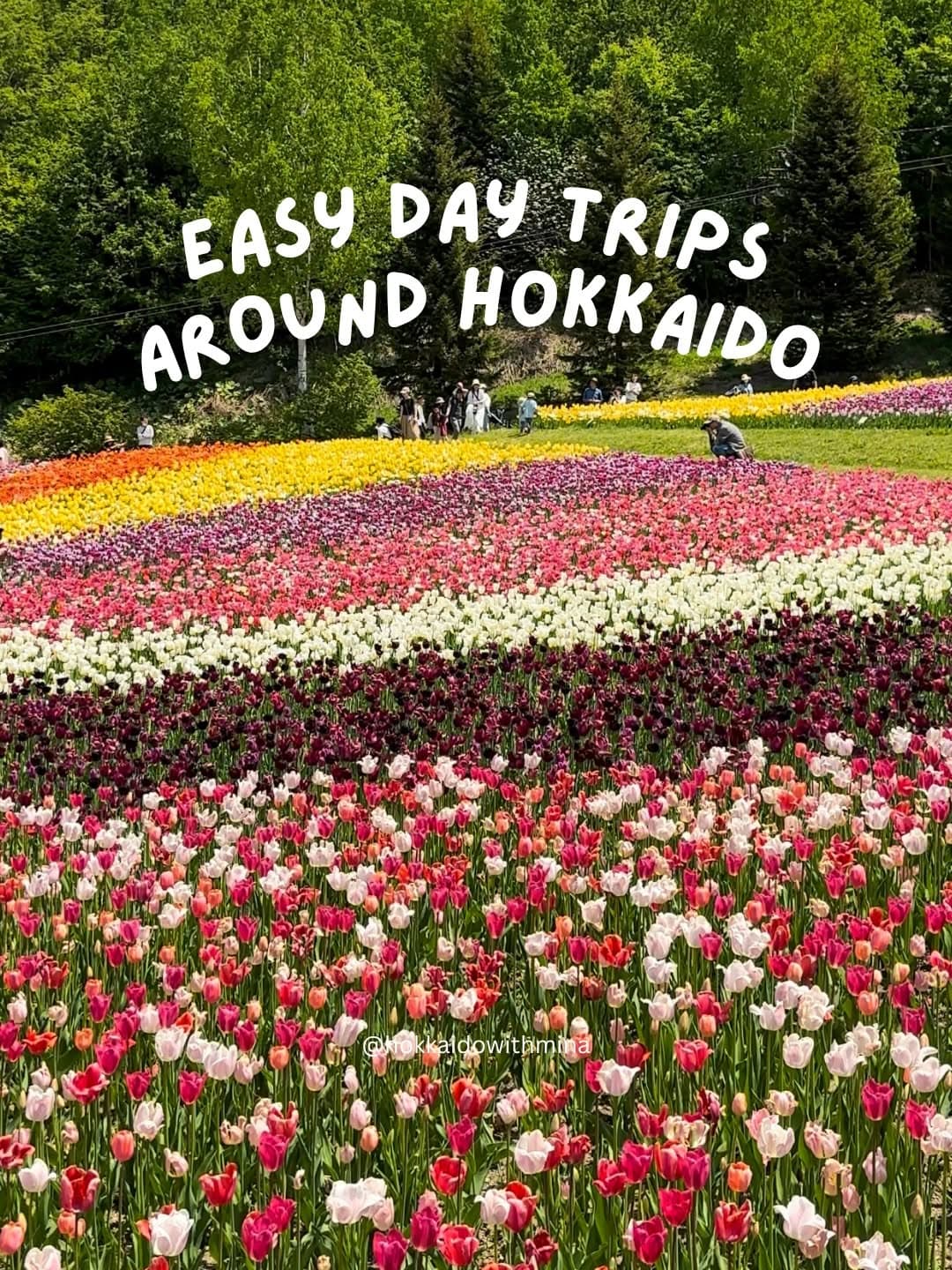 Hokkaido's Top Day Trips From Sapporo