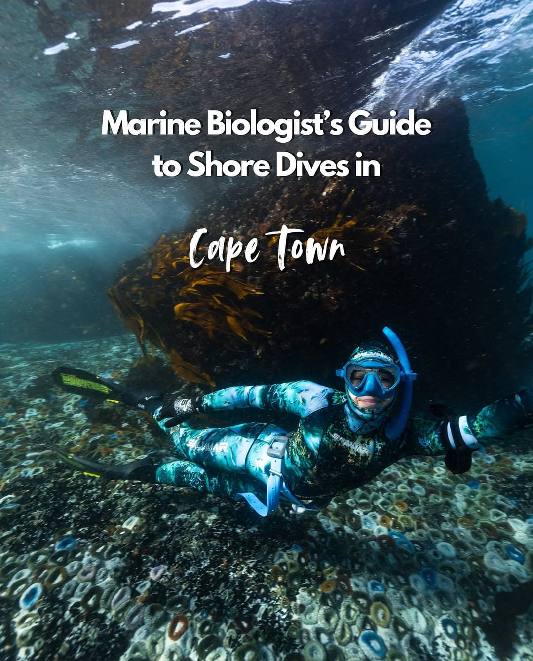 Cape Town Shore Dive Locations
