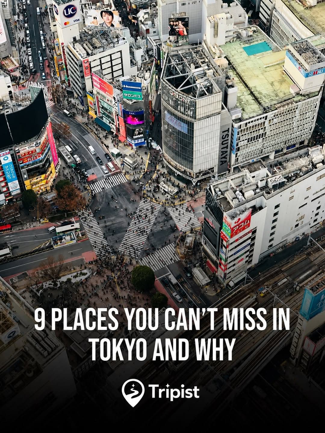 Popular Tokyo Landmarks and Attractions