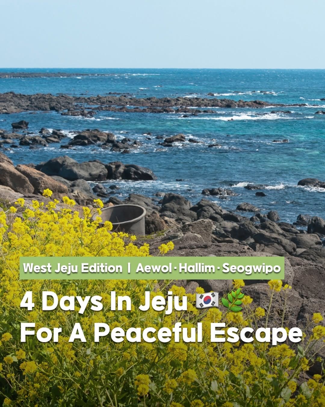 West Jeju: Nature, Markets, and Coastal Views
