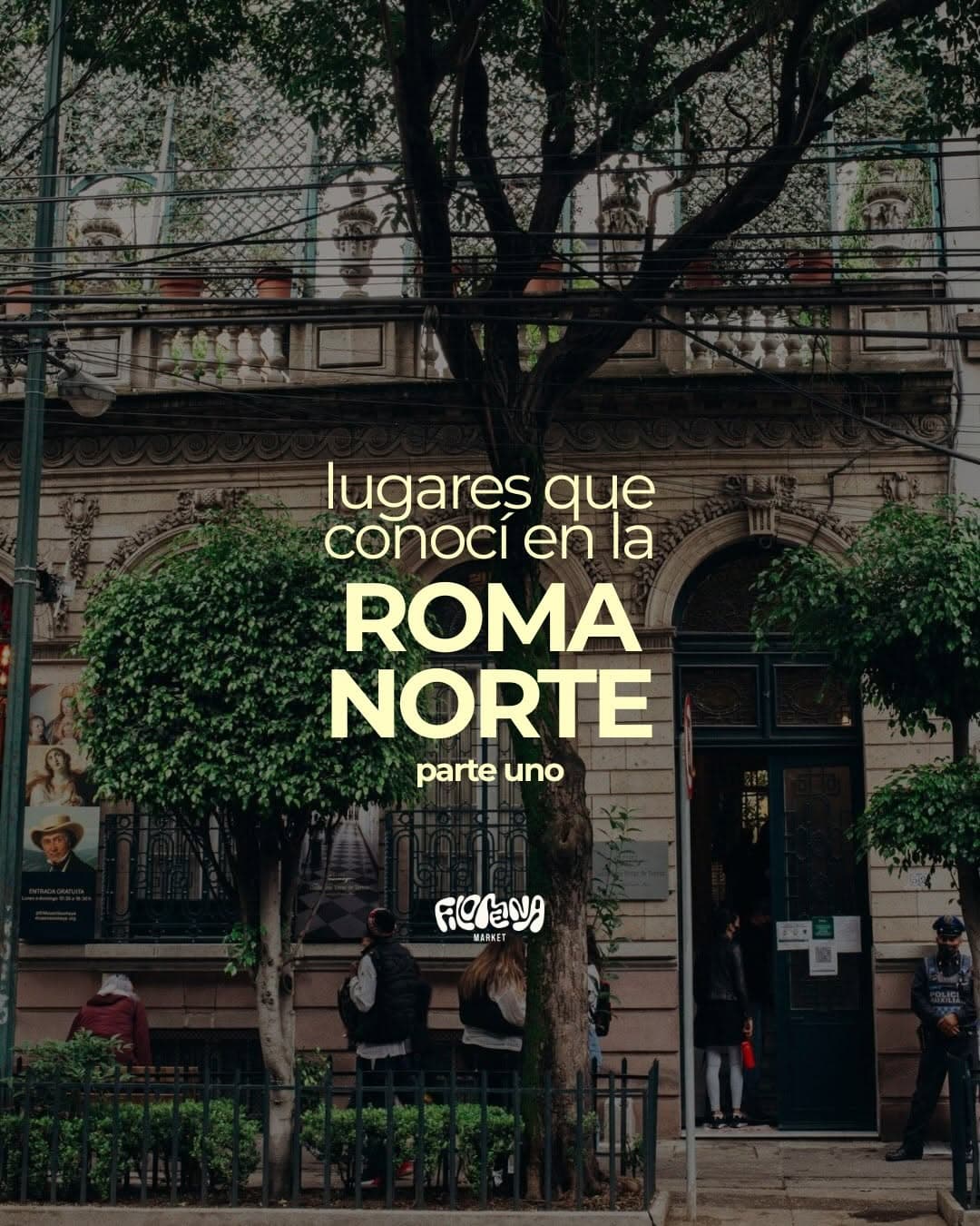 Roma Norte Exploration: Cafes, Art, and Design