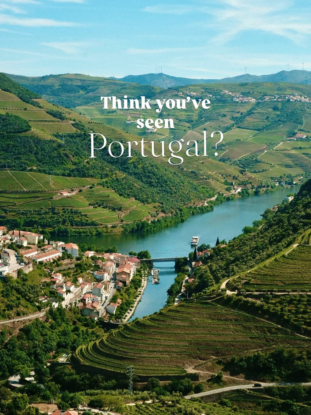 Douro River Valley's Terraced Vineyards