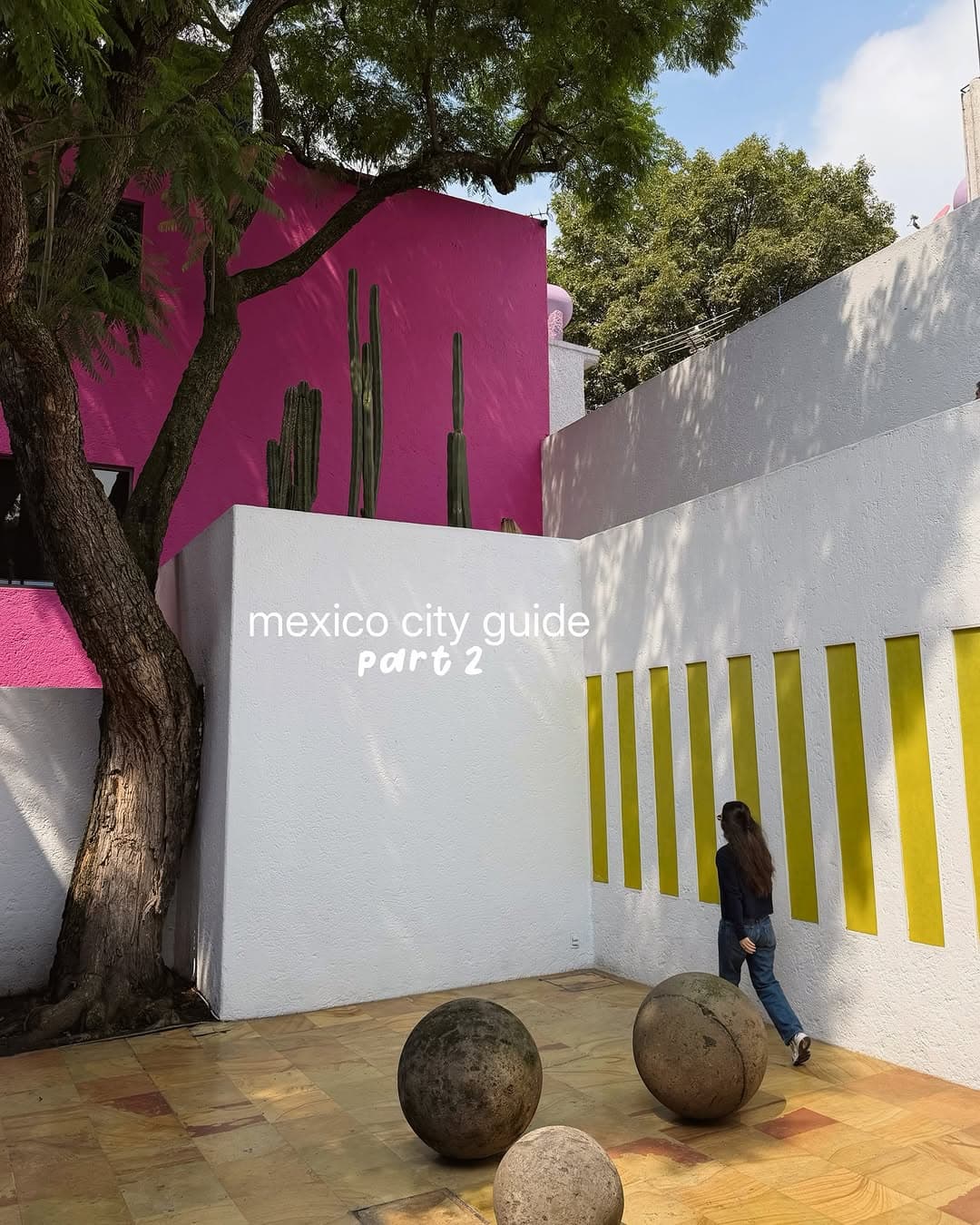 Mexico City: Culture, Food, and Wellness Attractions