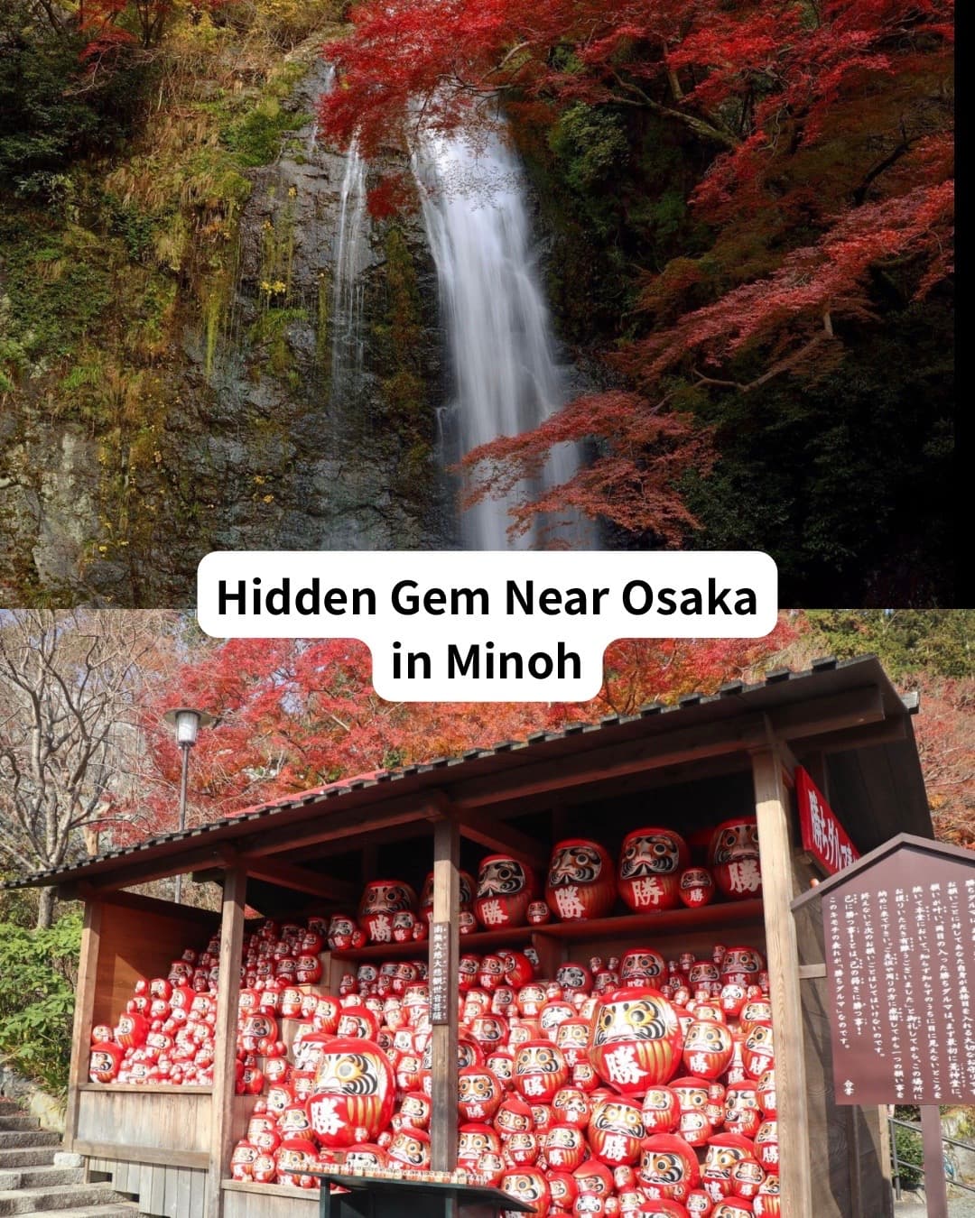 6 Attractions in Minoh