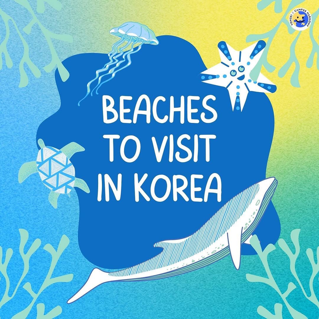 Top Korean Beaches for Summer Exploration