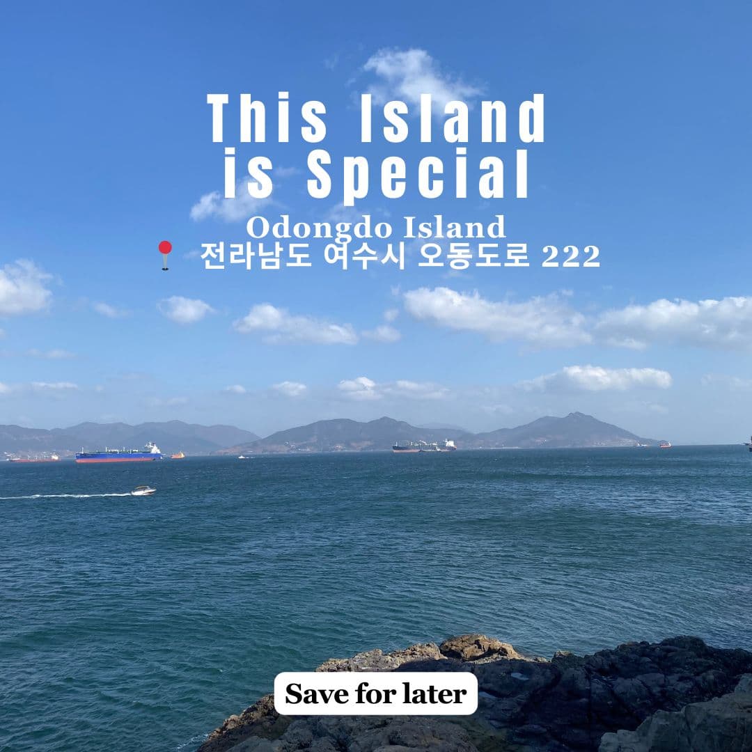 Peaceful Winter Walks on Odongdo Island