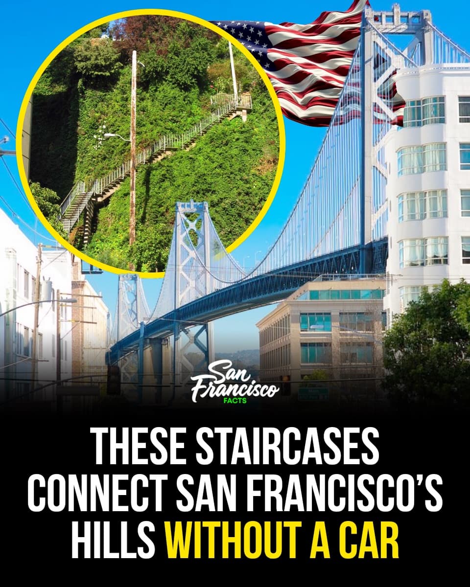 San Francisco's Secret Stairways