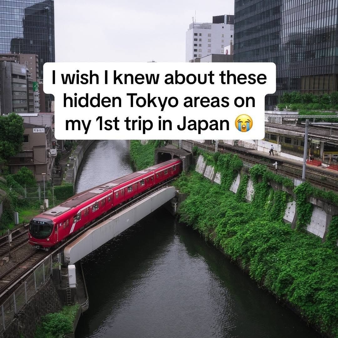 Tokyo's Top Attractions For Travelers
