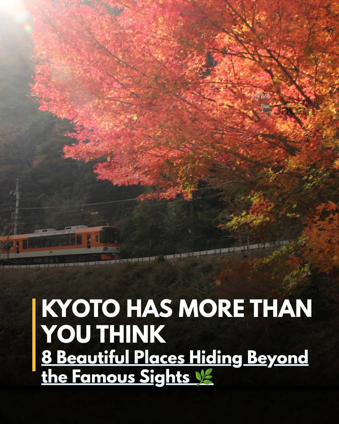 Nine Beautiful Kyoto Temples and Shrines
