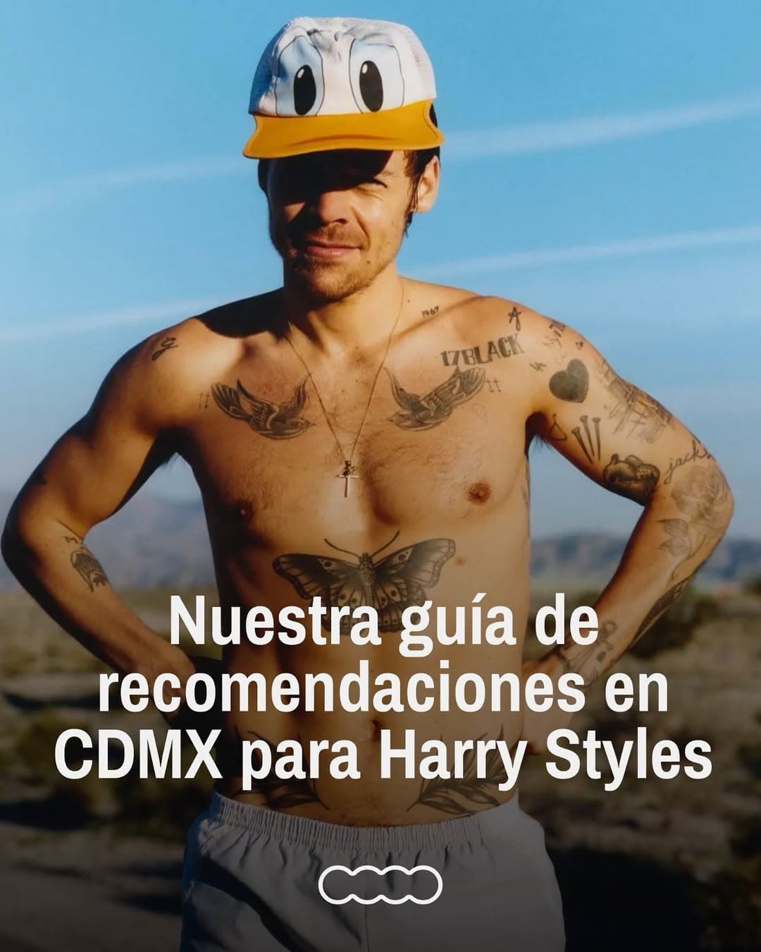 CDMX Spots Harry Styles Could Explore
