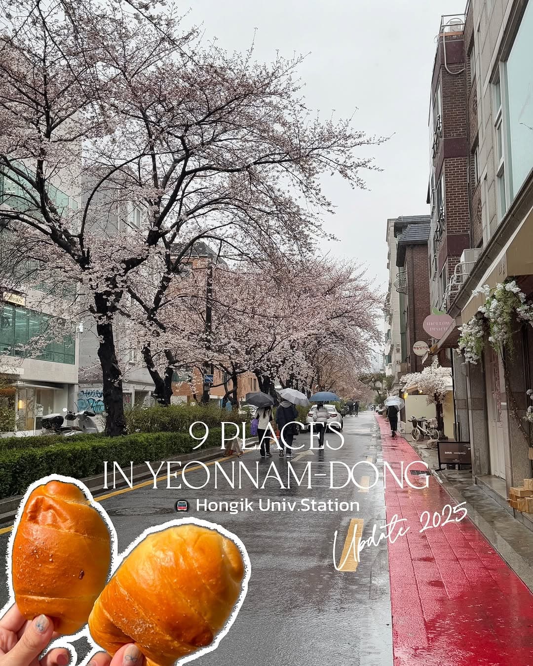Seoul Cafes and Restaurants Near Hongik University
