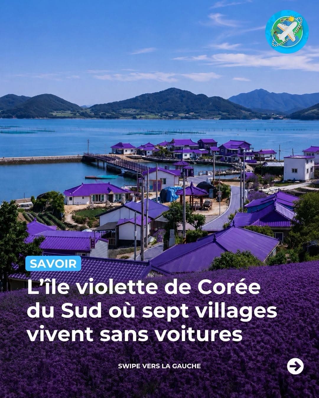South Korea's Purple Islands Await