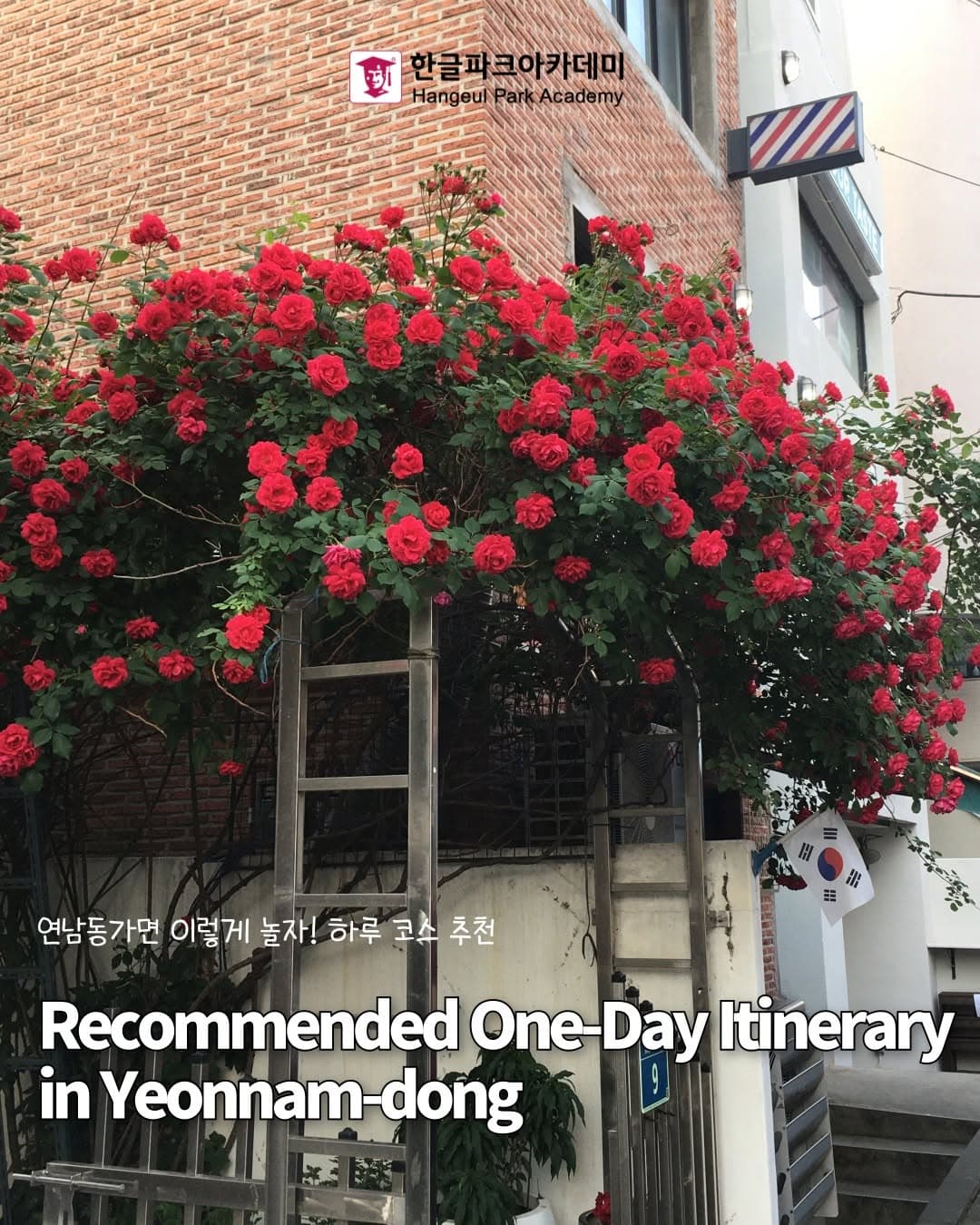 Yeonnam-dong's Cafes, Shops, and Rose Spots