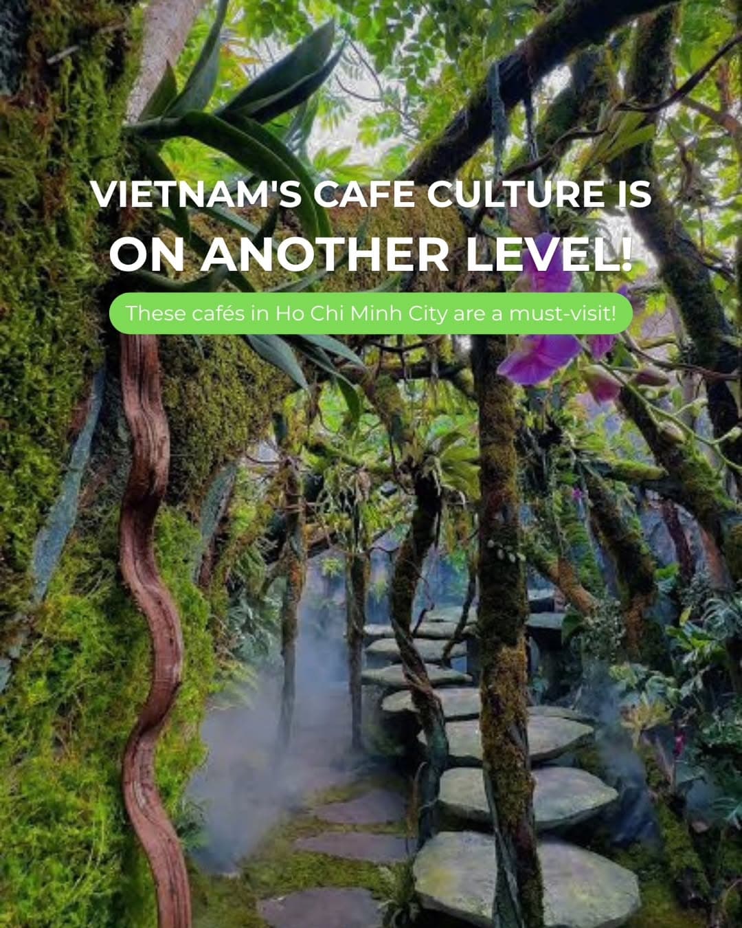 Ho Chi Minh City's Enchanting Nature-Themed Cafes