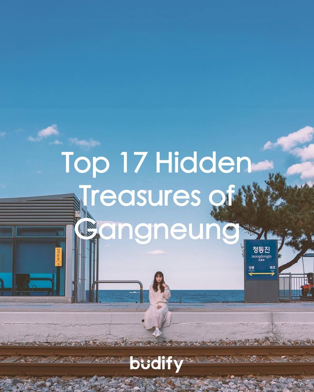 Gangneung's Hidden Winter and Spring Gems
